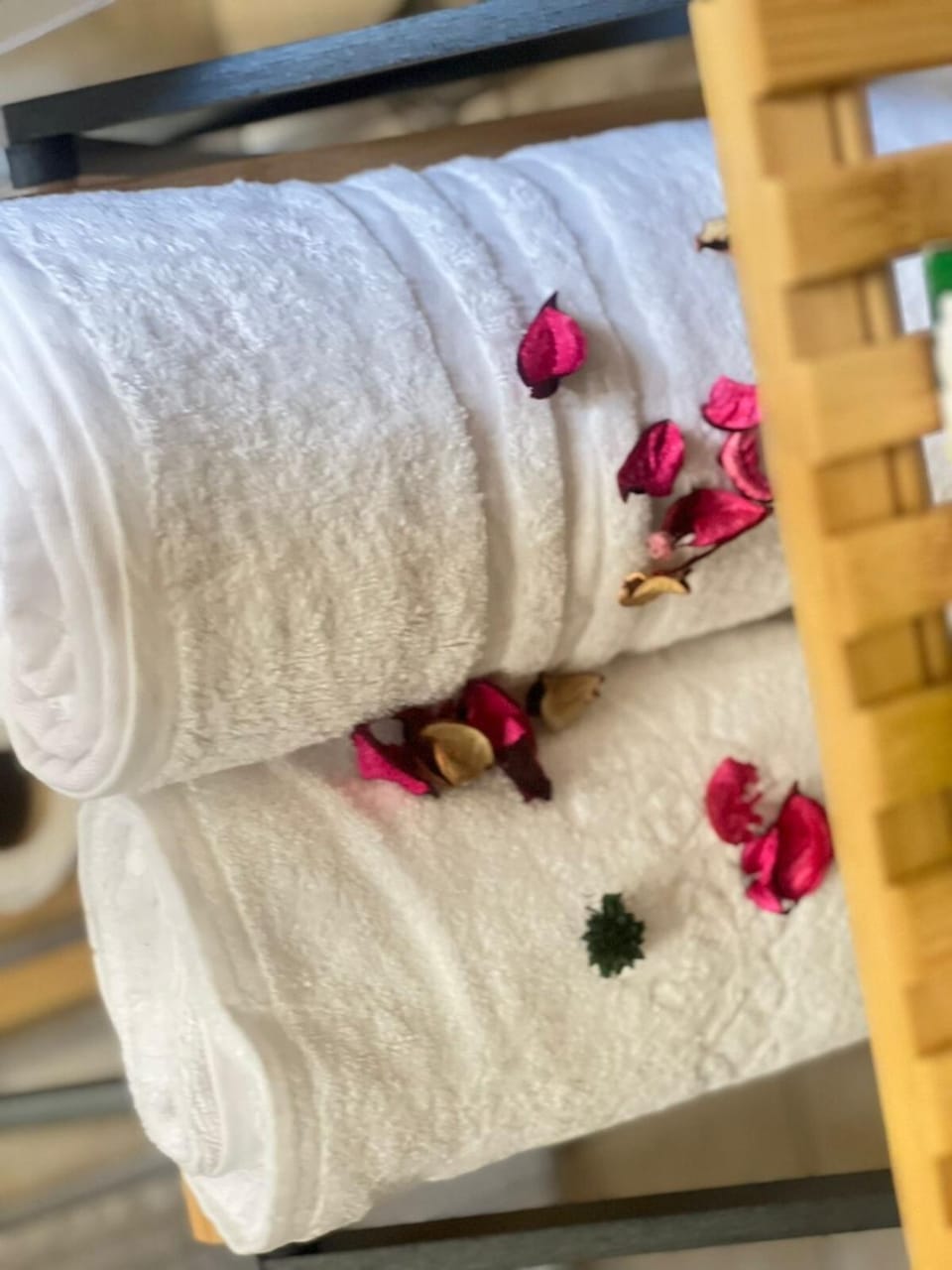 Peaceful stays in Mapungubwe Apartment in Johannesburg