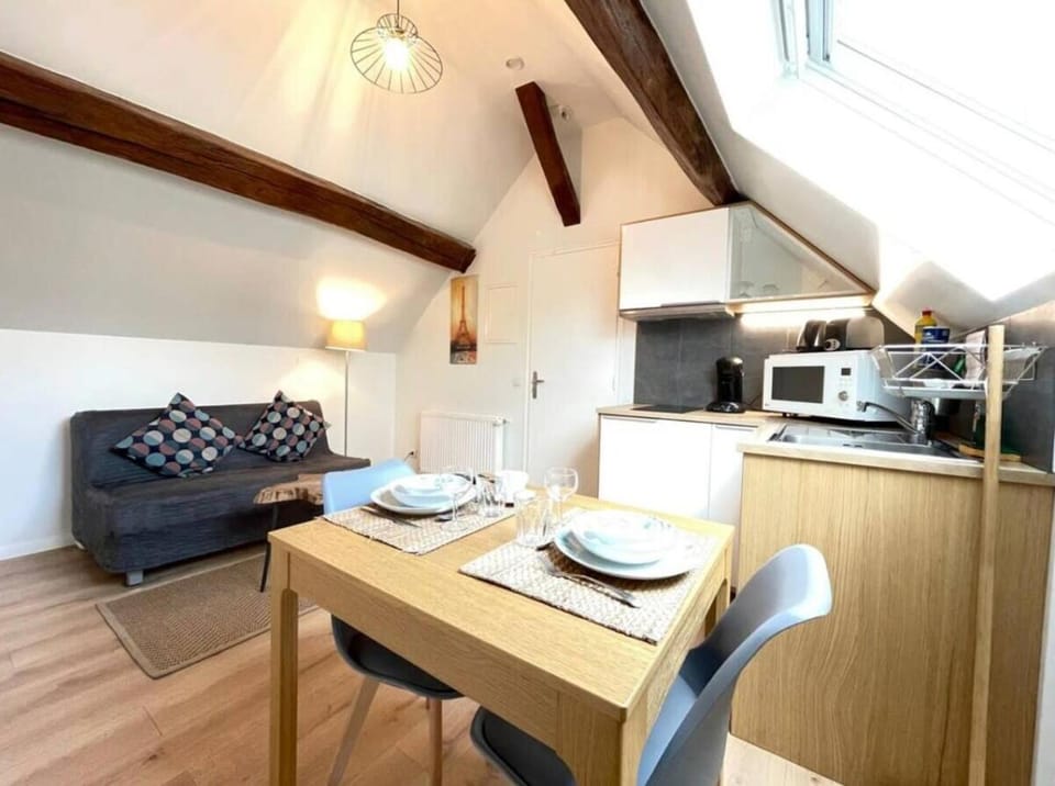 M13 Le vieux Massy RER 600 m Orly 20 min Apartment in Massy