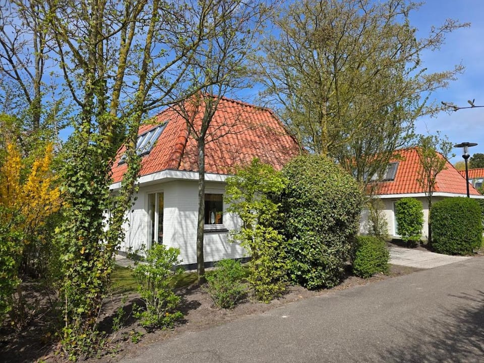 Property building, Spring, Day, Garden, Garden view