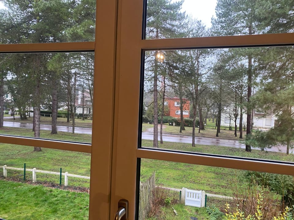 View (from property/room)