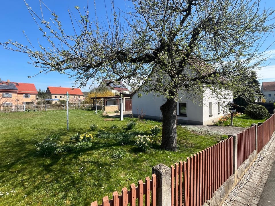 Spring, Garden, Garden view