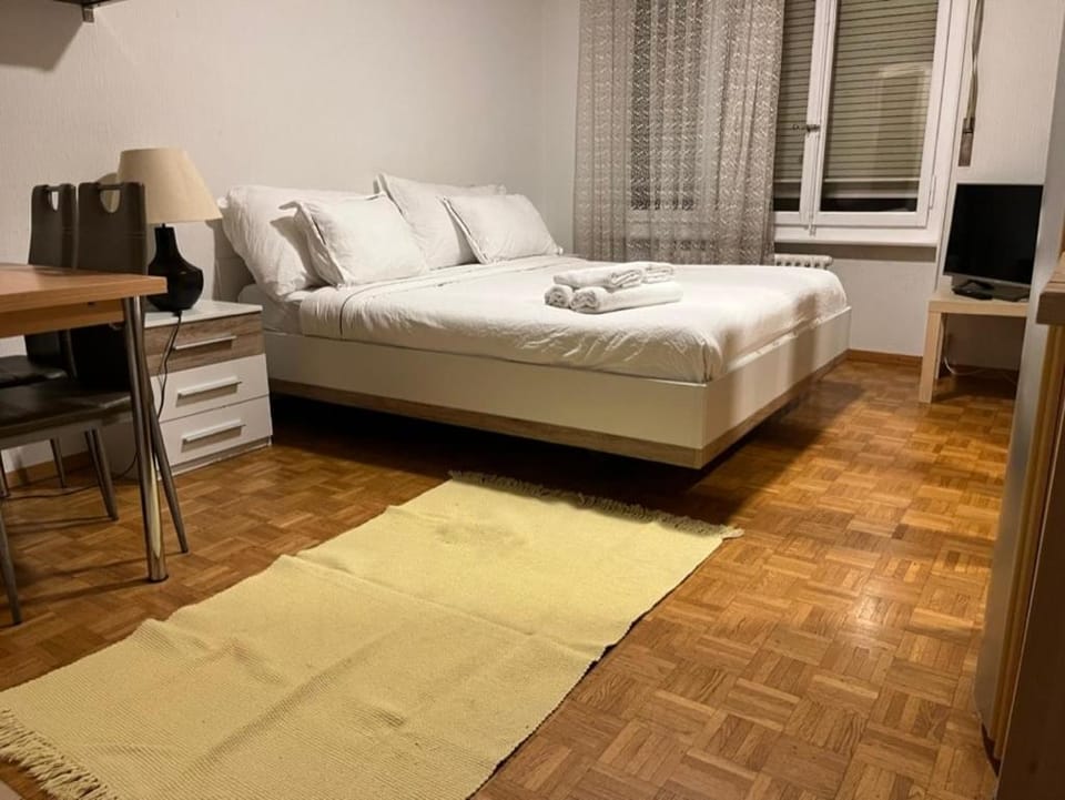 Between the Train station and downtown Apartment in Lausanne