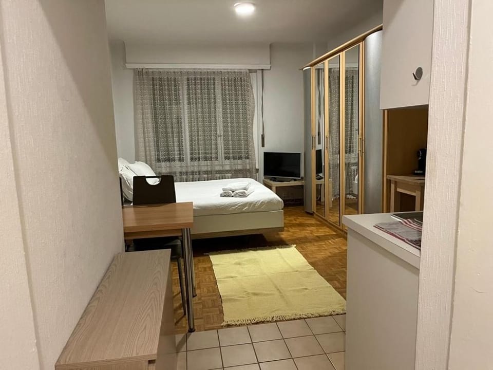 Between the Train station and downtown Apartment in Lausanne