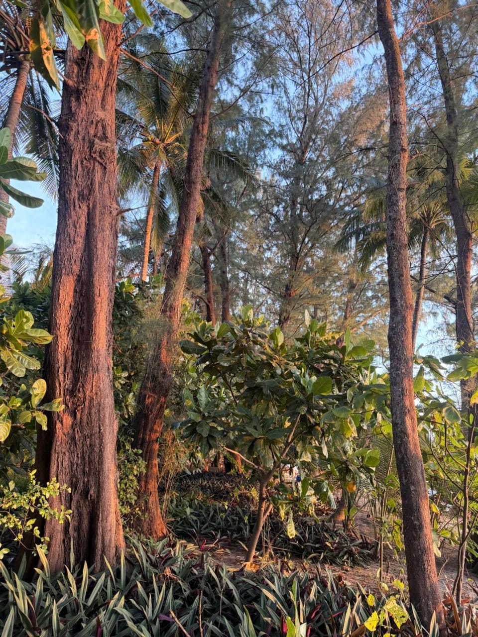 View (from property/room)