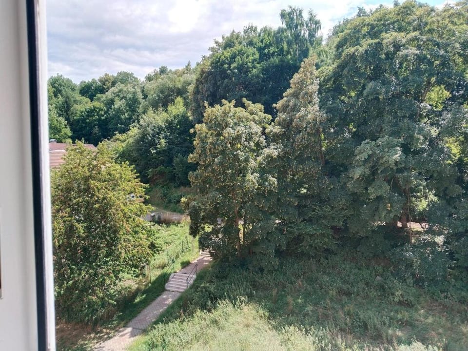 Natural landscape, Garden view
