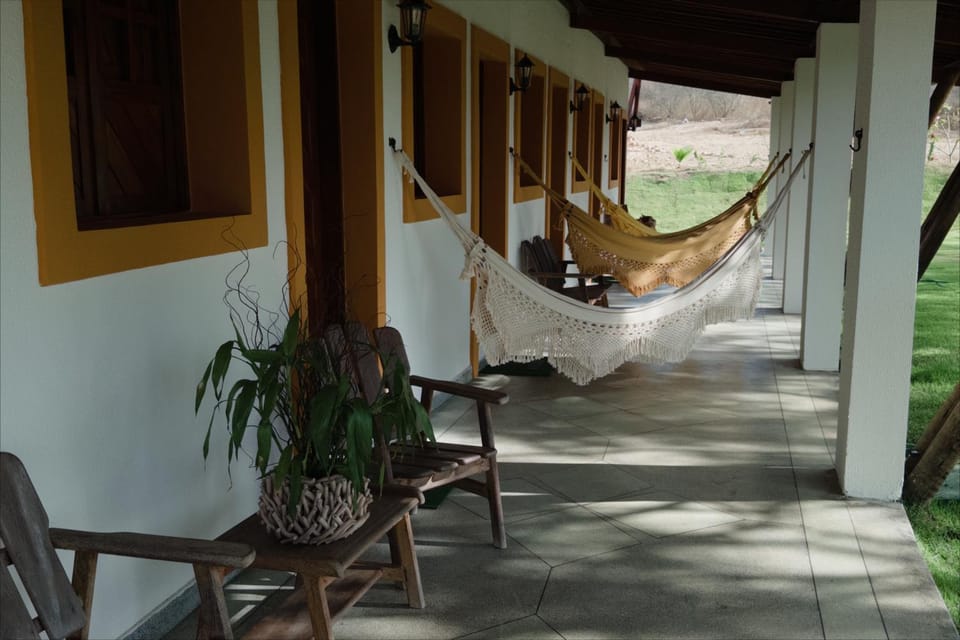 Patio, Garden, View (from property/room), Balcony/Terrace, Garden view