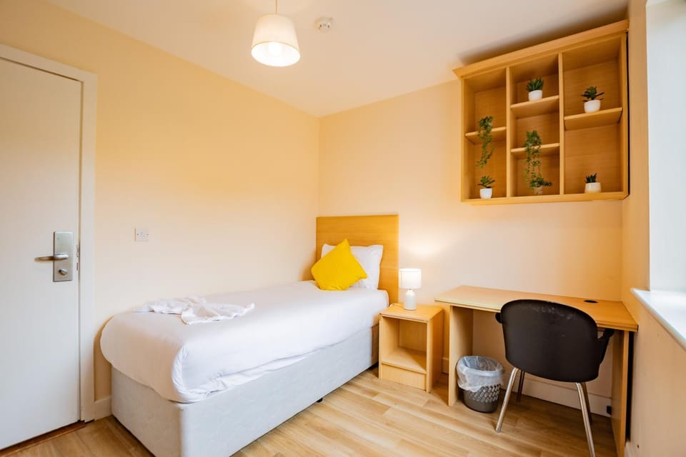 Large 4 Bed Limerick Apt - Near Shops & Campus Apartment in Limerick