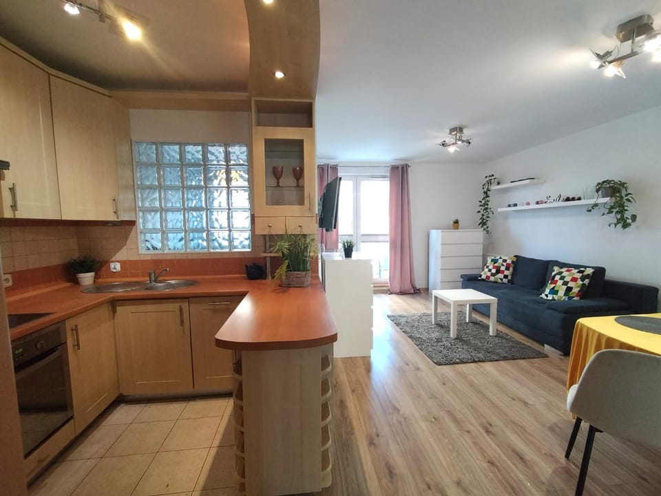 Apartament-Gdańsk Piekarnicza Apartment in Gdansk