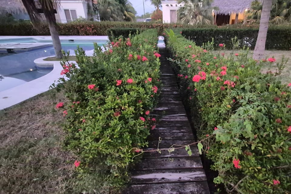 Garden view
