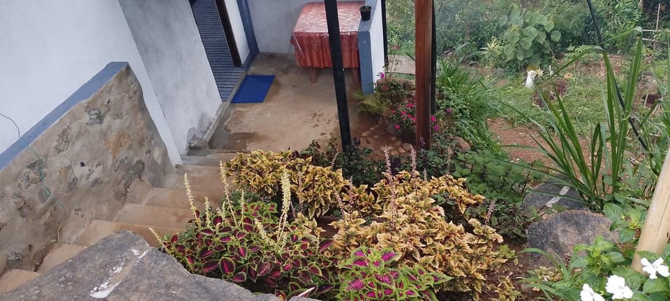Pavis guest inn Apartment in Central Province