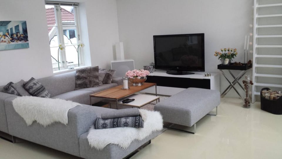 Communal lounge/ TV room, TV and multimedia, Living room