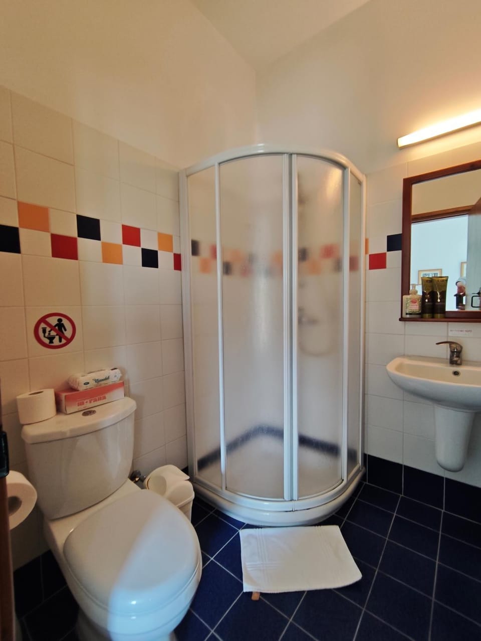 Shower, Toilet, Bathroom