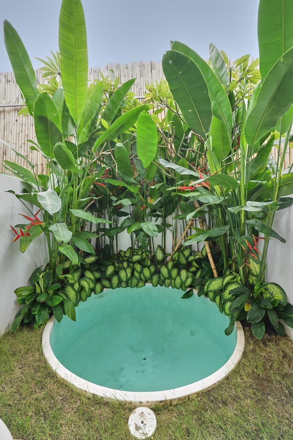 Garden, Swimming pool