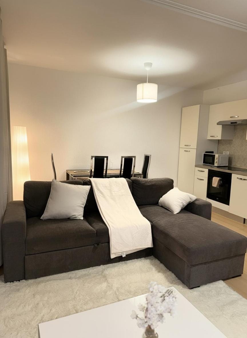 Appartement Cosy au cœur de Mulhouse Apartment in Mulhouse