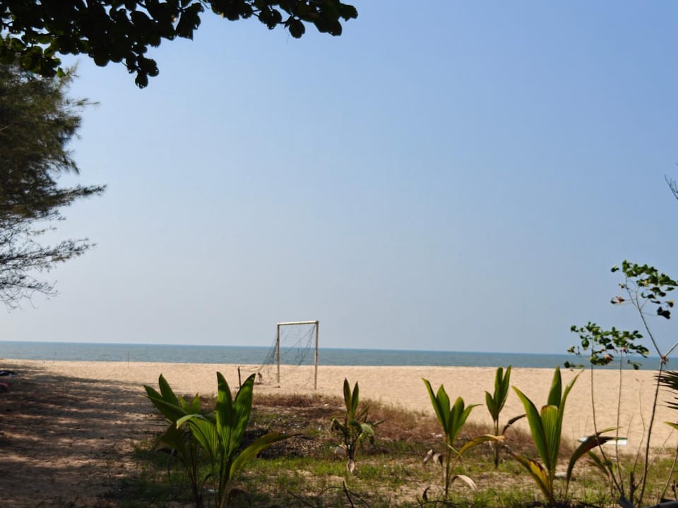Beach, Beach