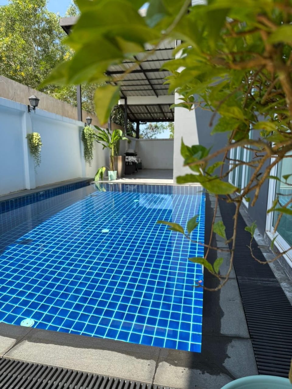 Pool view, Swimming pool