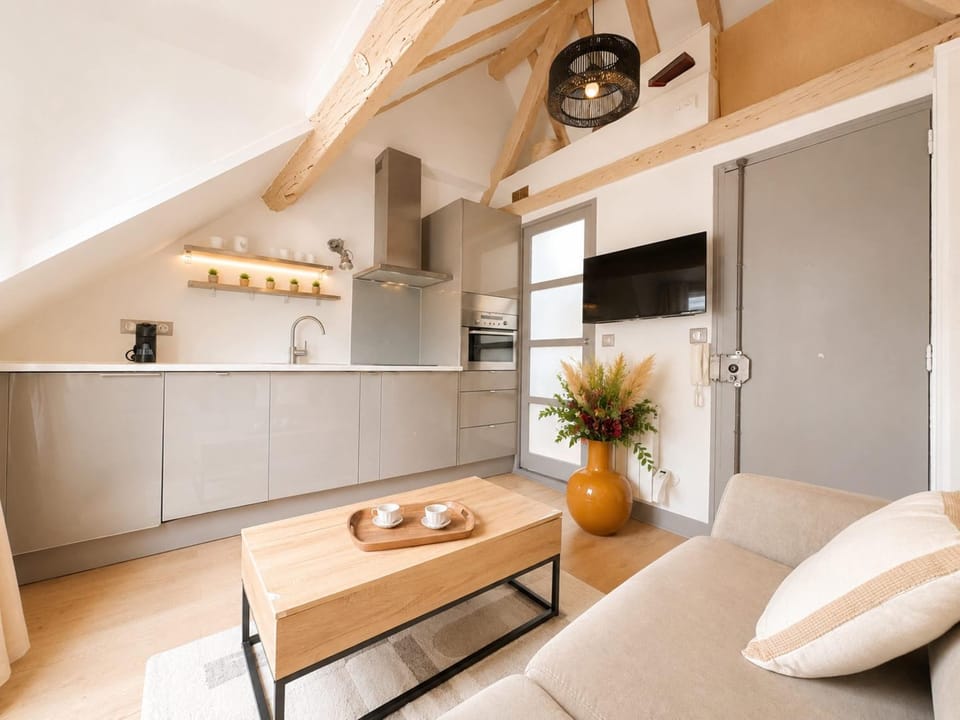 Kitchen or kitchenette, Living room, Seating area, Dining area, oven, stove