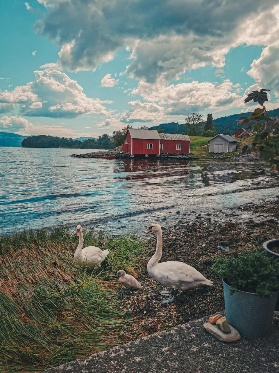 Natural landscape, Beach, River view, Sea view