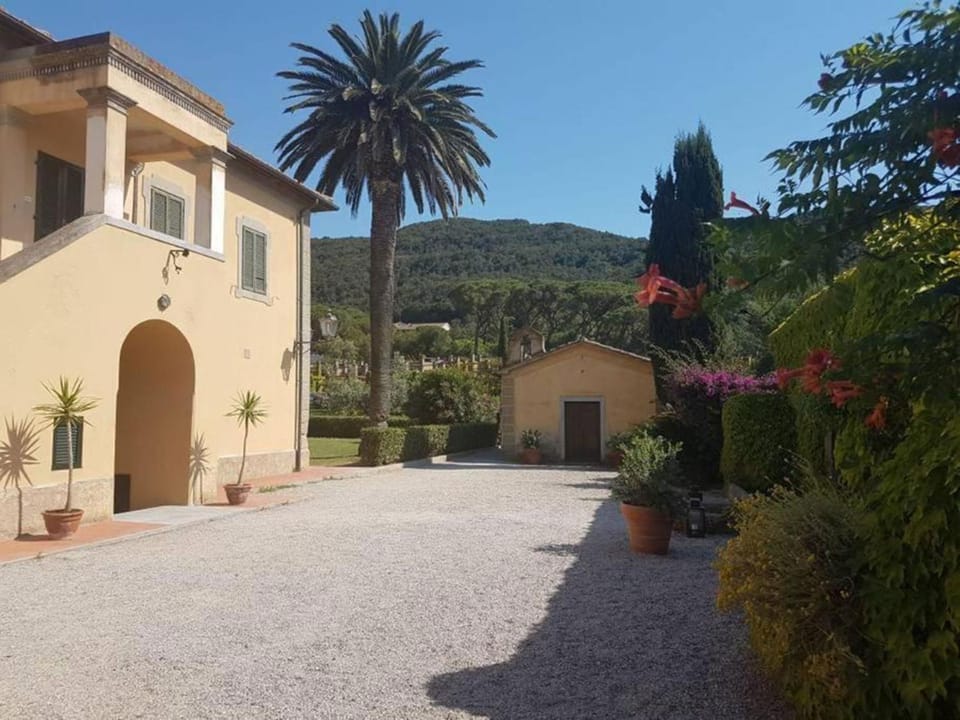 Property building, Garden
