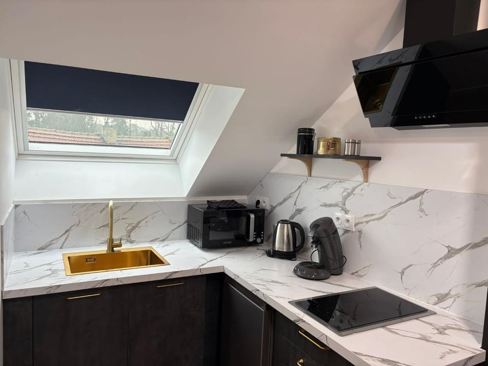 Suite Majestic Apartment in Saarland, 66, Germany