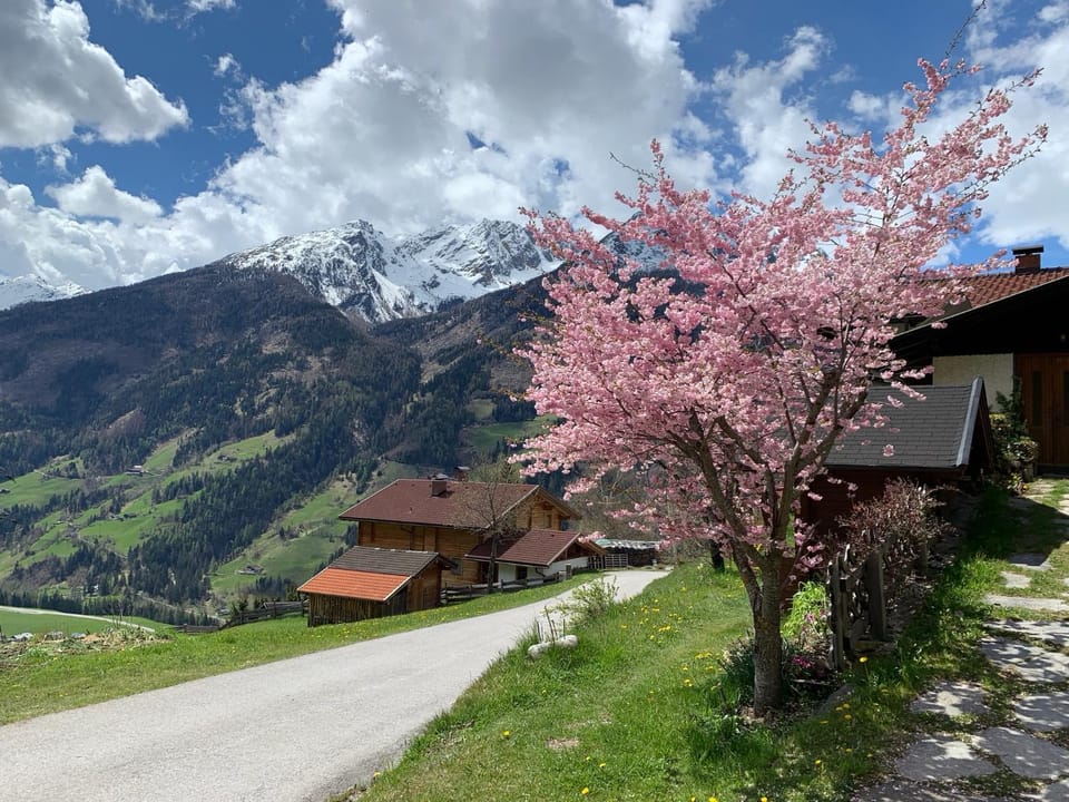 Haus RuHe Bed and Breakfast in Carinthia, Austria