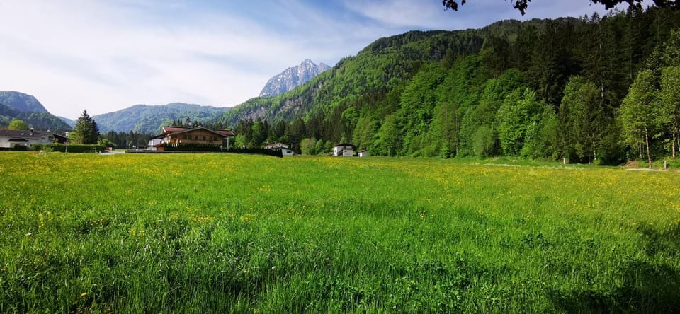 Natural landscape