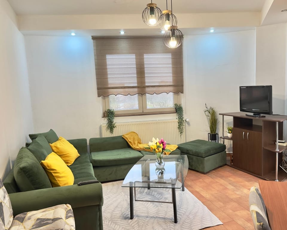 Rotonda apartment Apartment in Timiș County