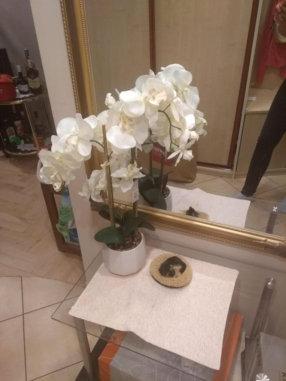 Apartament Gdynia 24 Centrum Noclegi Mieszkanie Pokoje Śródmieście Apartment in Pomeranian Voivodeship