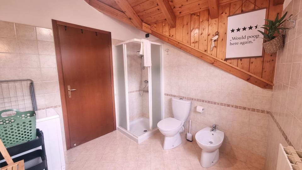 Shower, Toilet, Bathroom, bidet