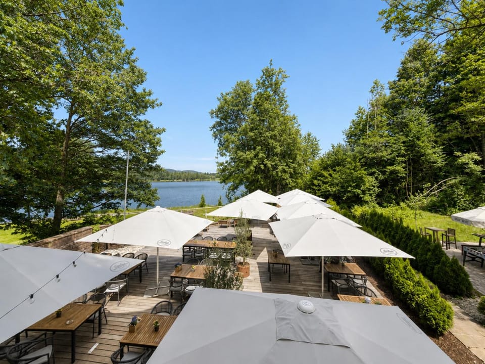 Lake view