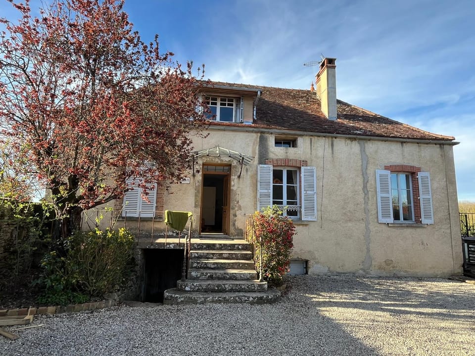 Property building, Day, Garden