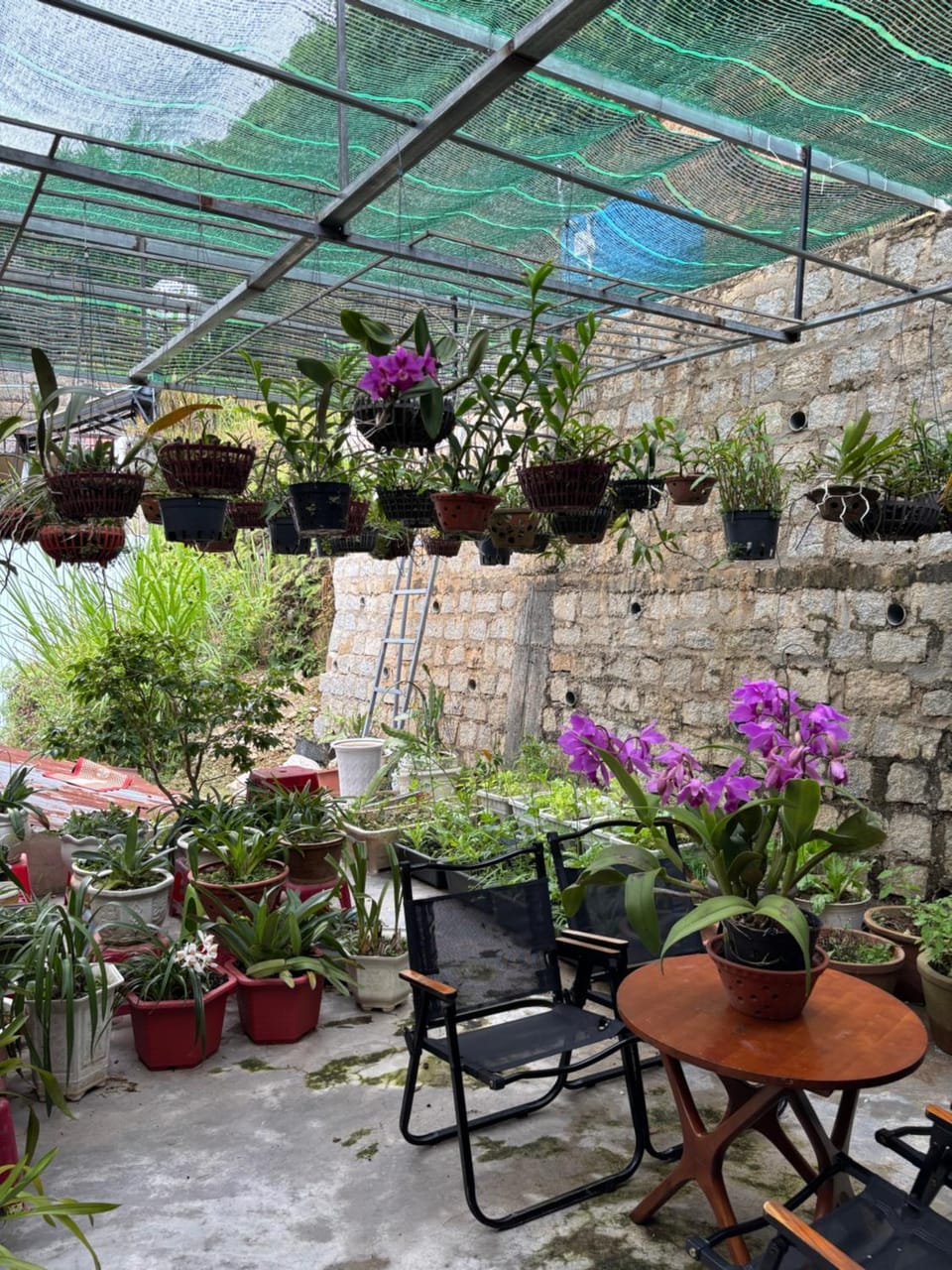 Mây Đà Lạt Home Apartment in Dalat