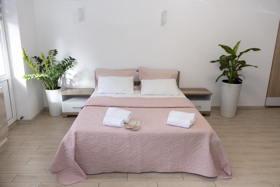 Bed, pet friendly