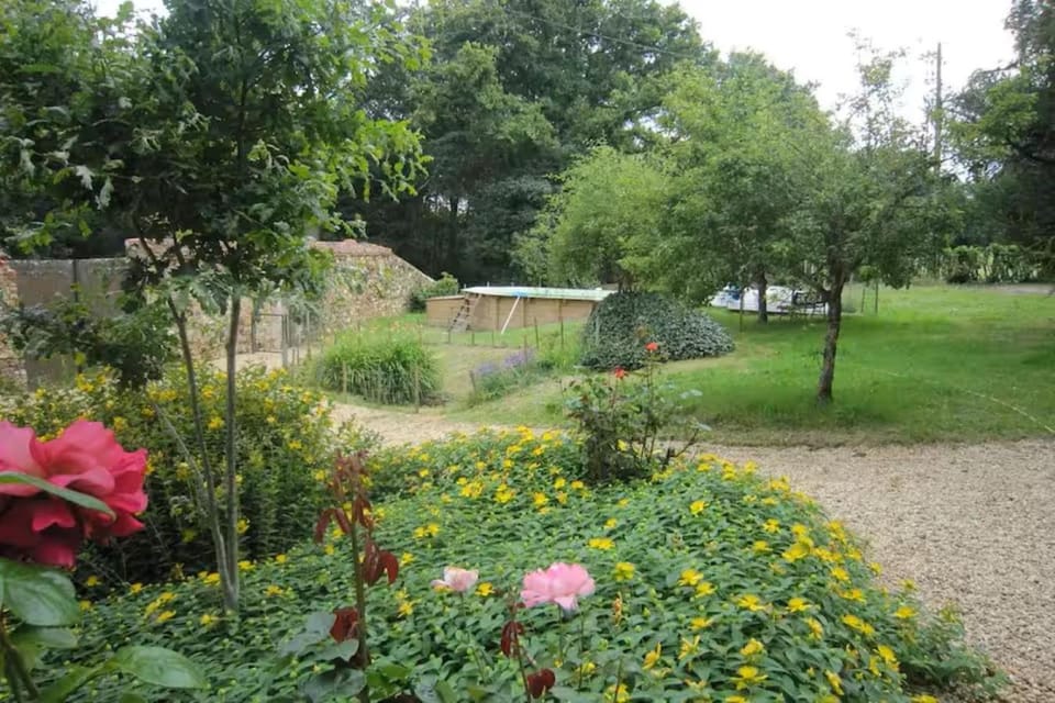 Garden, Garden view, Pool view, Swimming pool