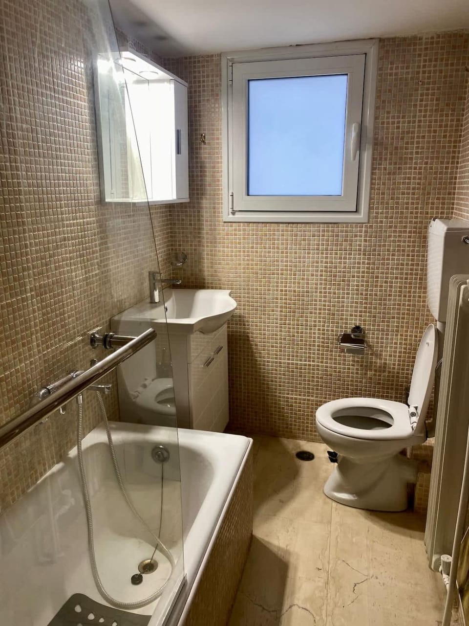Shower, Toilet, Bathroom, Bath