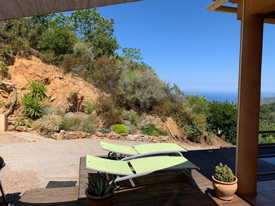 Garden view