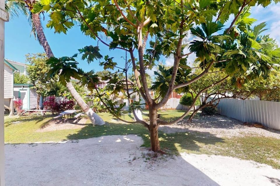 DV 5 at DV Cabanas Gold Standard Certified Apartment in Belize District