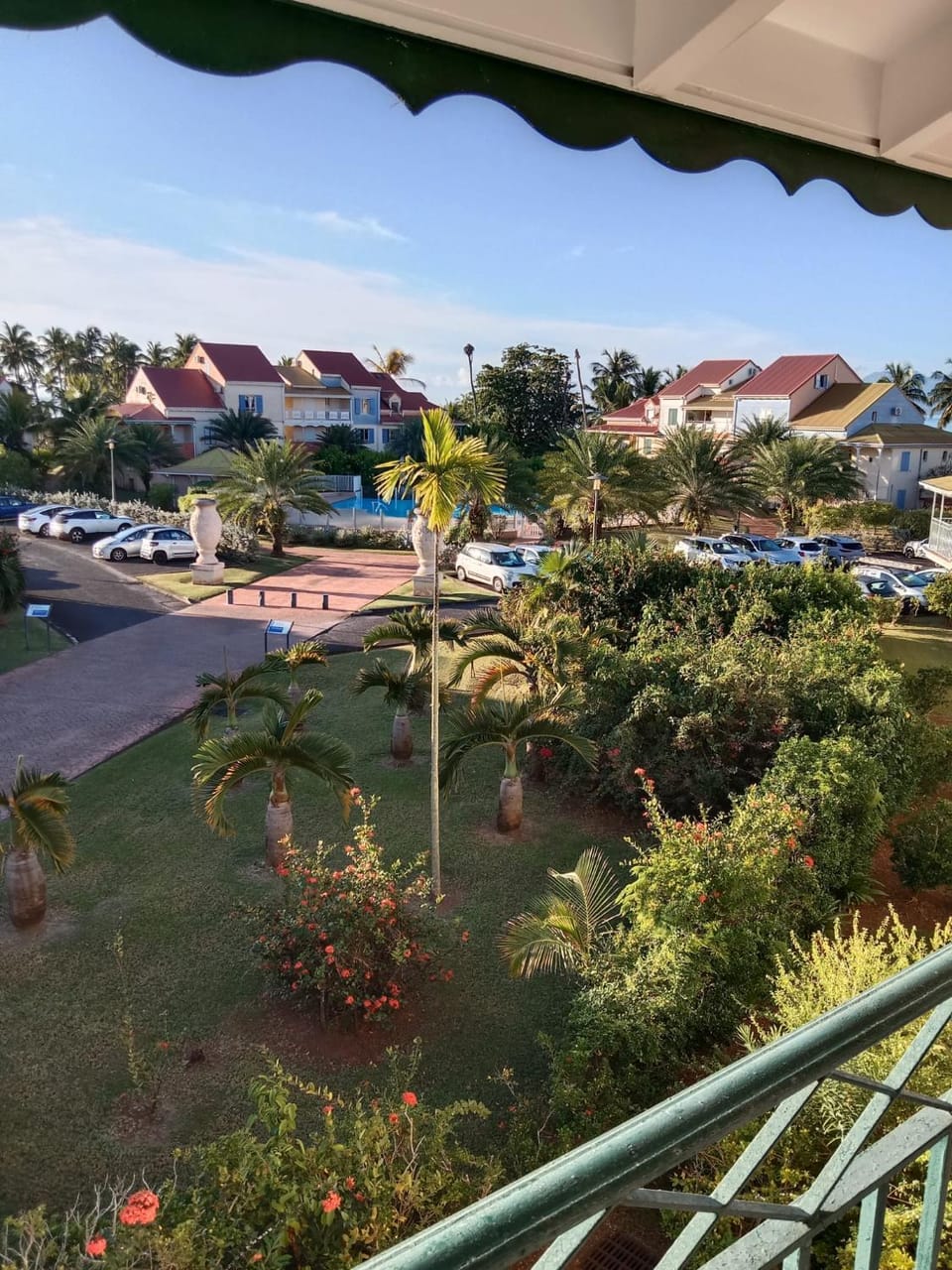 Garden, Garden view, Swimming pool