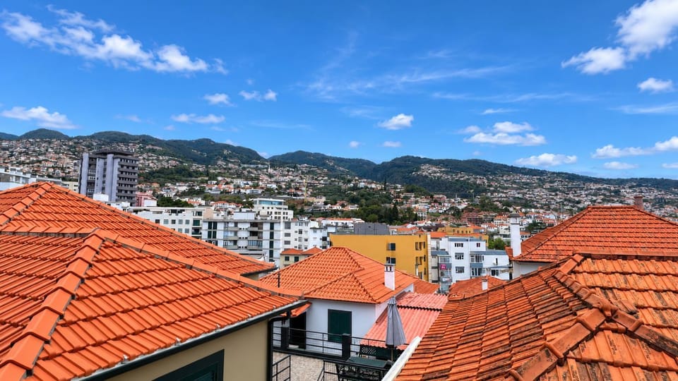 View (from property/room)