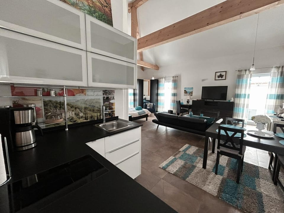 Kitchen or kitchenette, Photo of the whole room, Dining area
