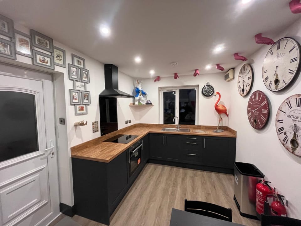 Kitchen or kitchenette, Dining area, oven, stove, kitchen