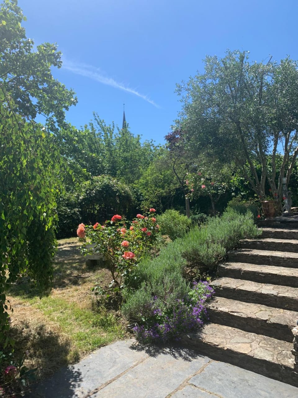 Lorcival Bed and Breakfast in Pays de la Loire