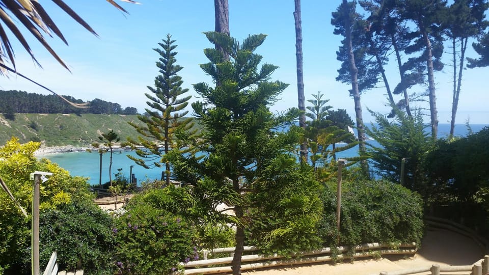 Off site, Garden