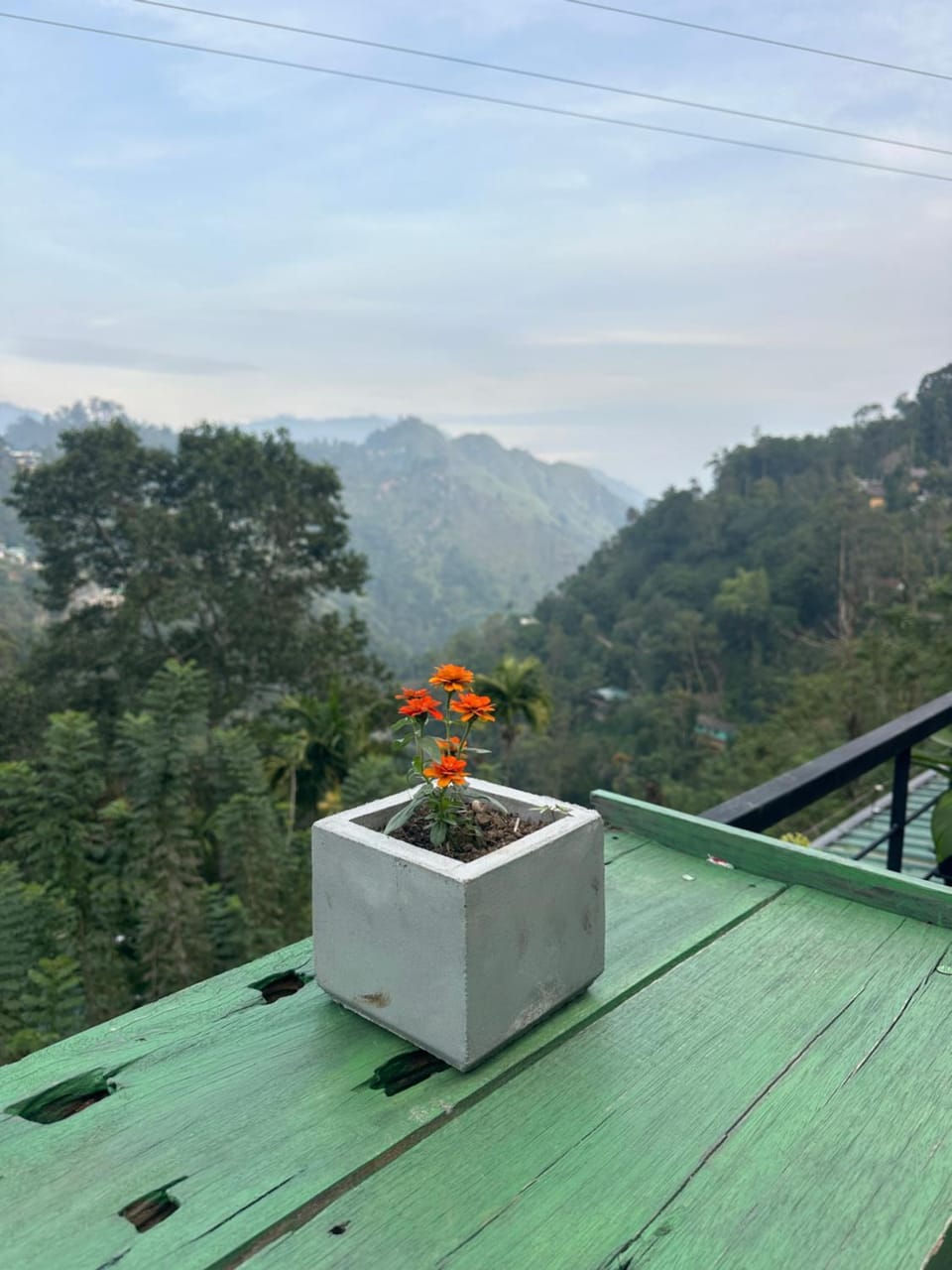 Mountain view