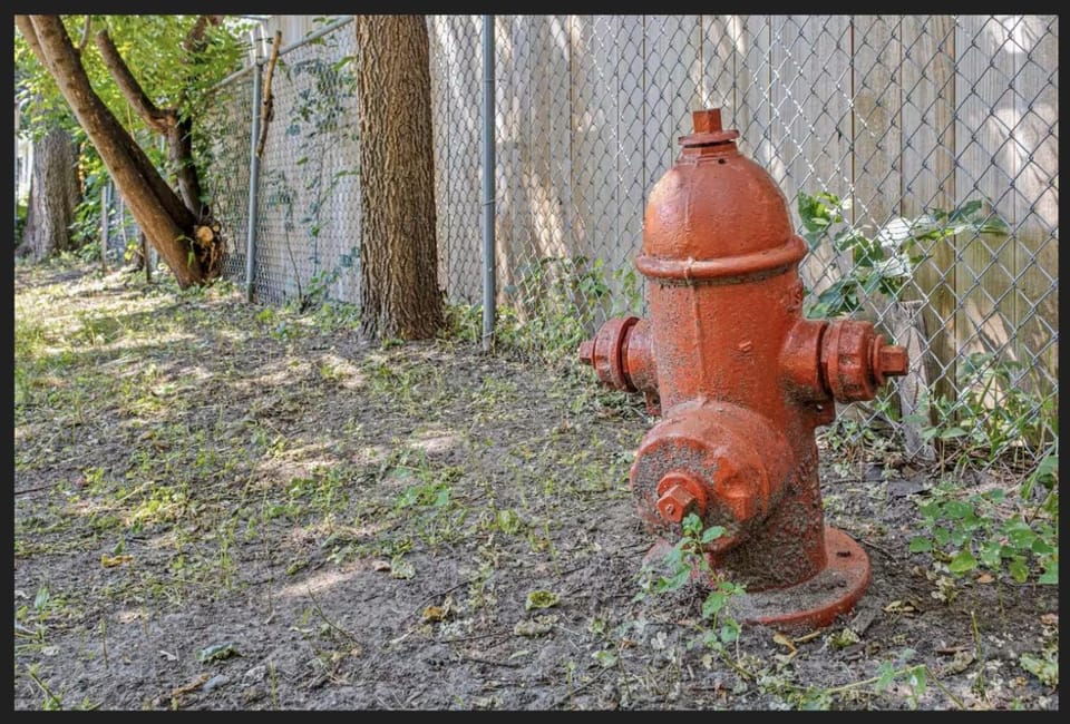 Garden, Pets