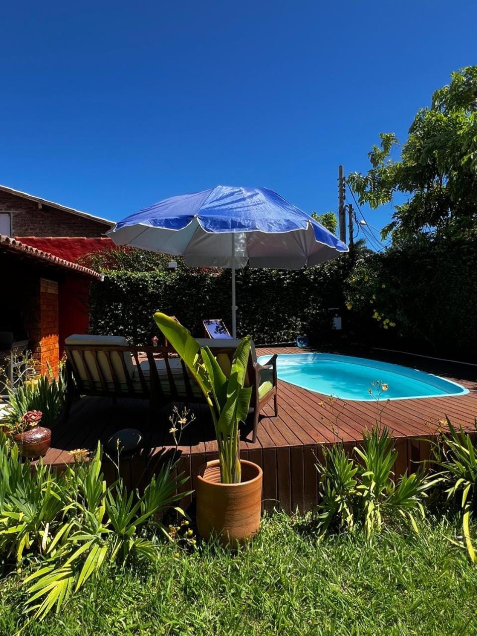Day, Garden view, Pool view, Swimming pool
