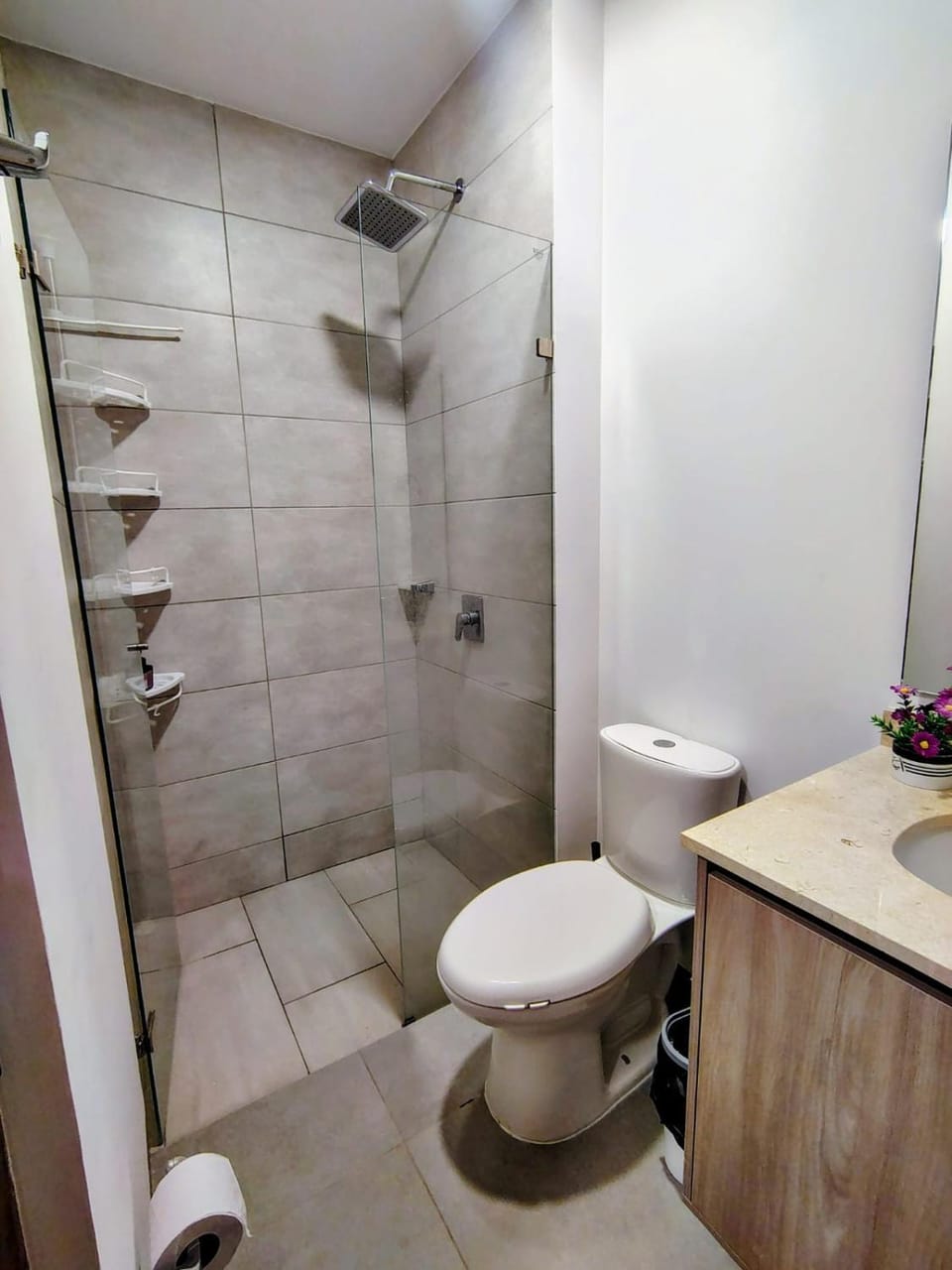 Shower, Bathroom