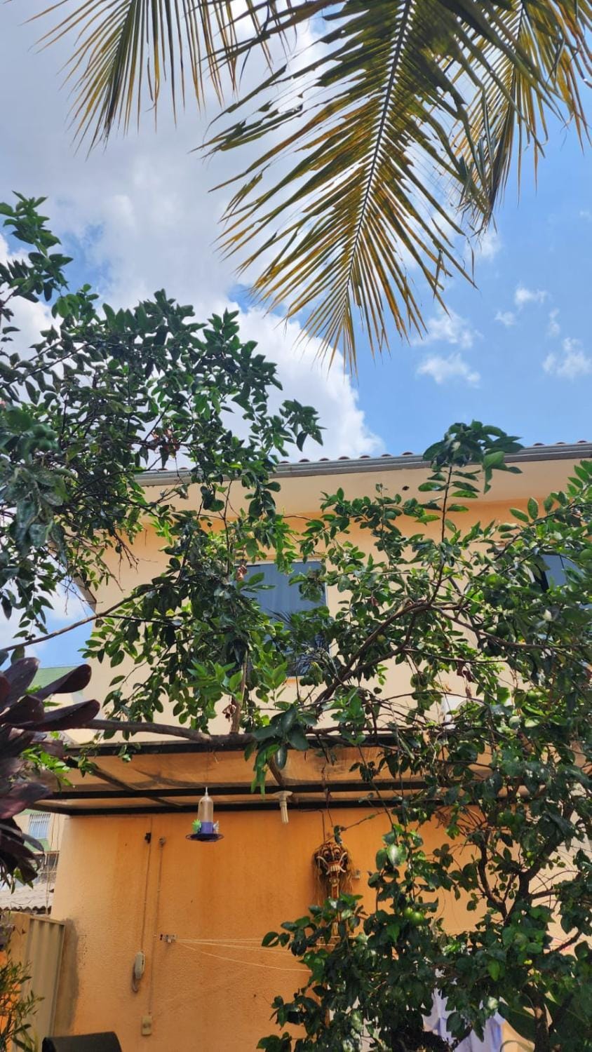 Alure 1 House in Belo Horizonte