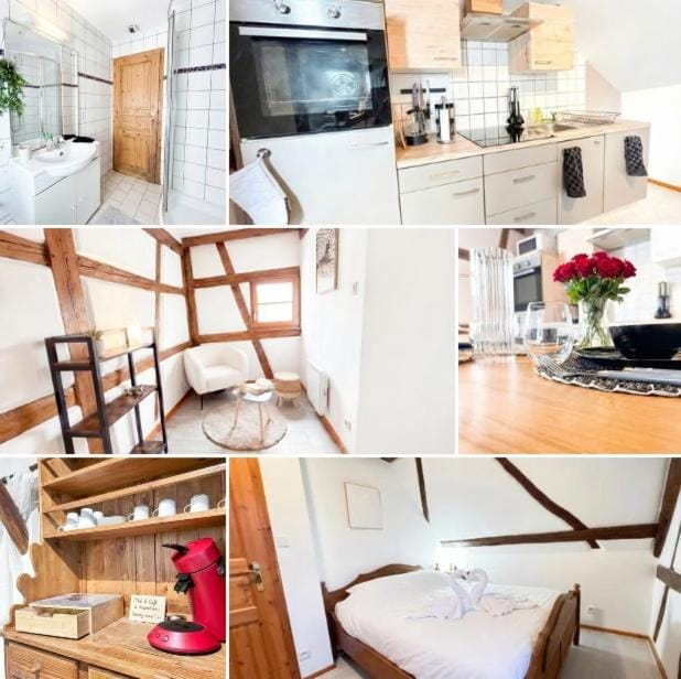 Duplex de Charme - Turckheim - Route des Vins Apartment in Grand Est