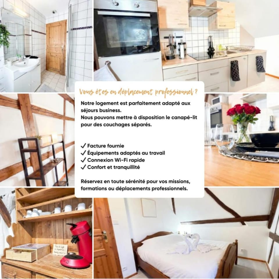 Duplex de Charme - Turckheim - Route des Vins Apartment in Grand Est